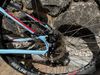Cannondale Tango 5
