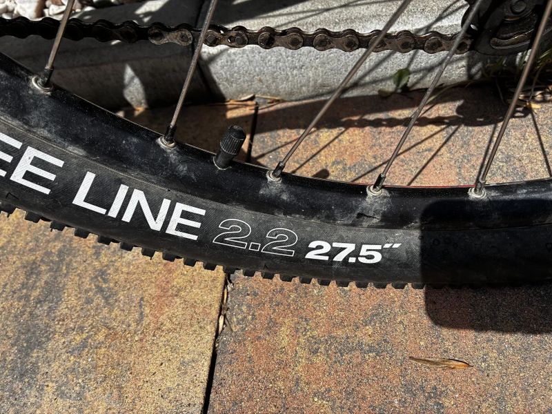 Cannondale Tango 5