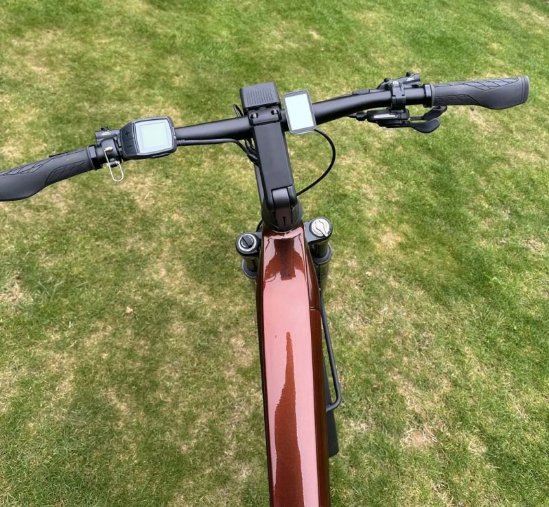 Scott Scott Silence eRIDE 30 Men (2021)