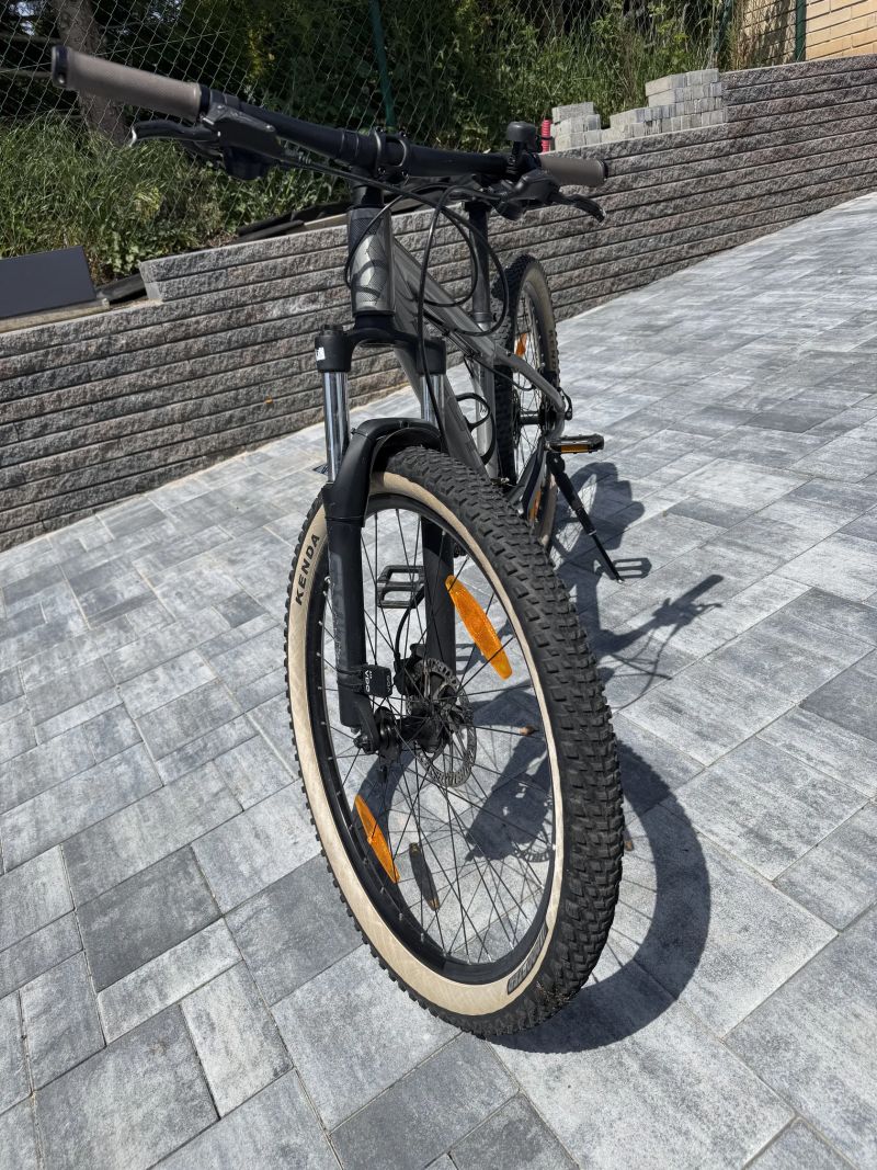 Scott Roxter 26” XS