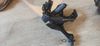 Bezdrátová sada SRAM RED eTap 2x11 + brzdy Dura-Ace