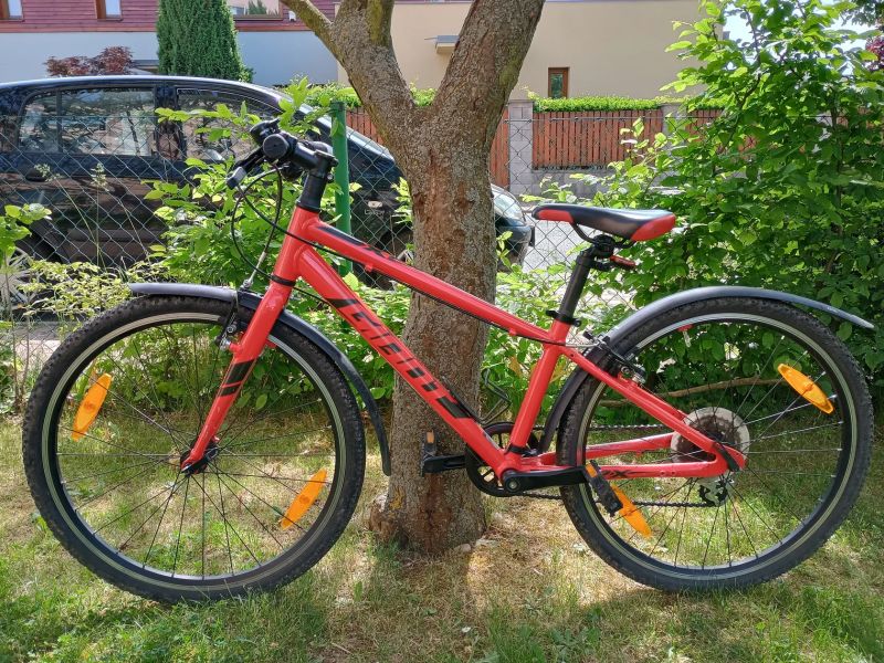 Giant ARX 24