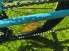 Kellys KITER 50