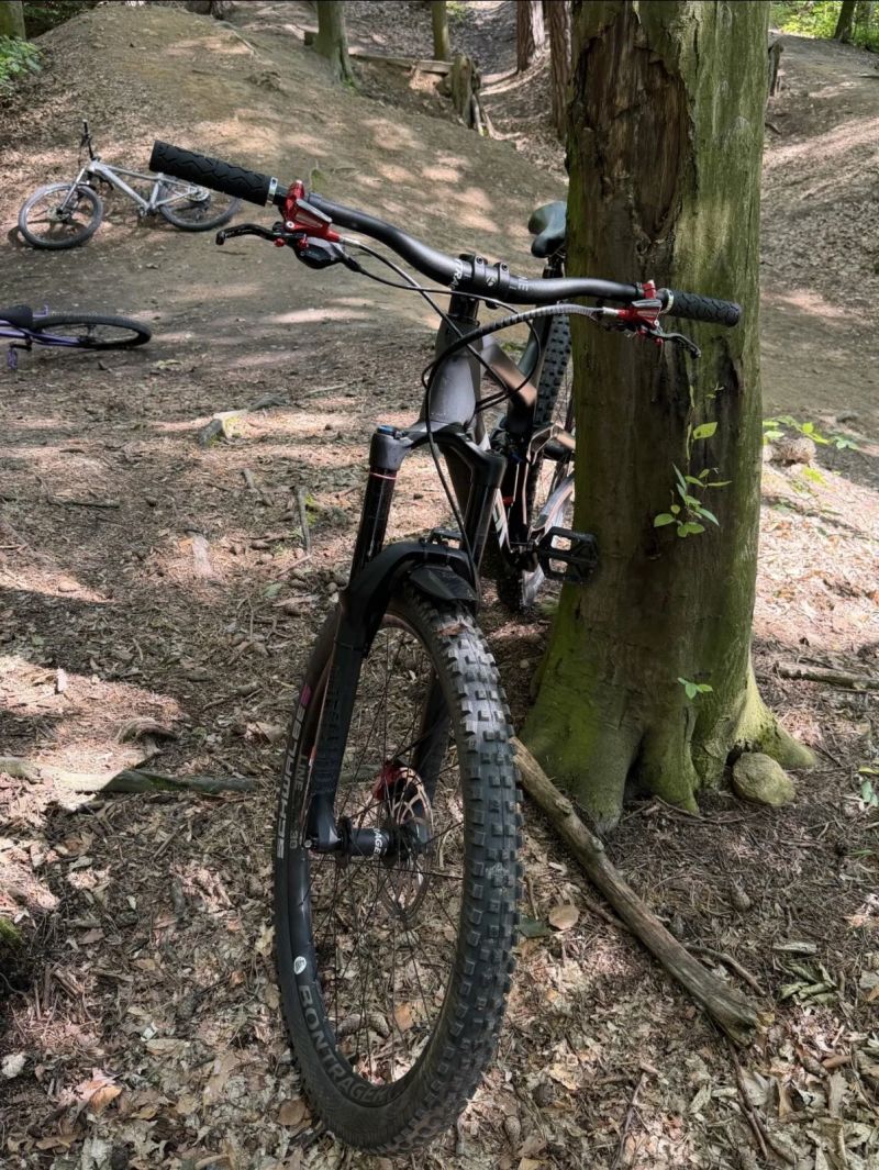 Trek slash 9.9