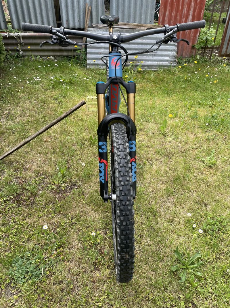 Pivot Cycles Firebird 29