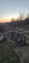 YT Industries 29" YT Capra AL Comp M