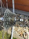 Zadní výplet s nábojem a kazetou Campagnolo