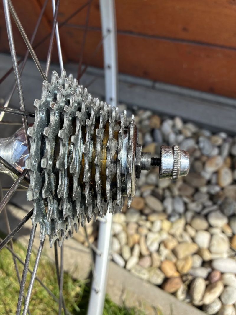 Zadní výplet s nábojem a kazetou Campagnolo