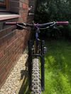 Giant Reign SX 2020