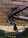 Giant Reign SX 2020