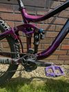 Giant Reign SX 2020