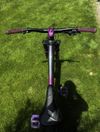 Giant Reign SX 2020