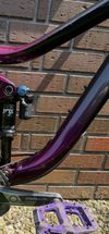 Giant Reign SX 2020