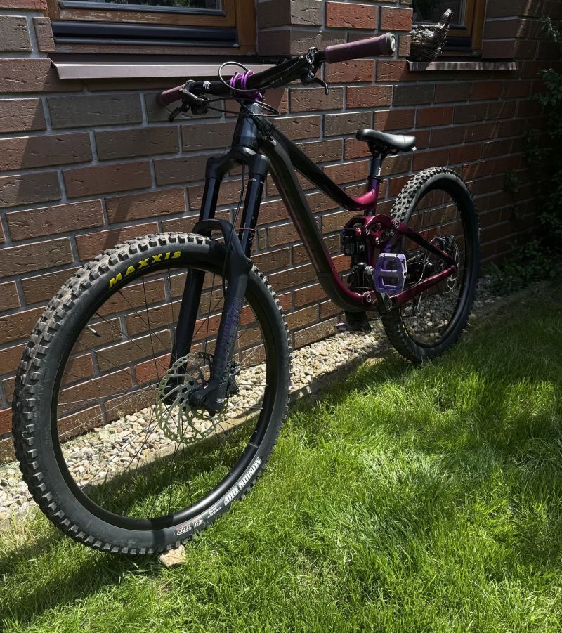Giant Reign SX 2020