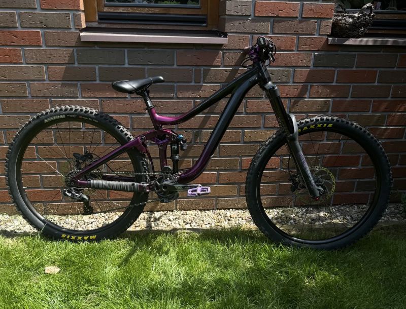 Giant Reign SX 2020