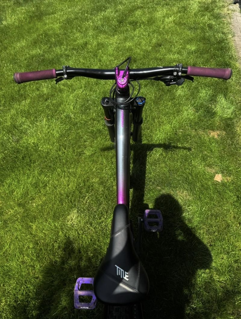 Giant Reign SX 2020
