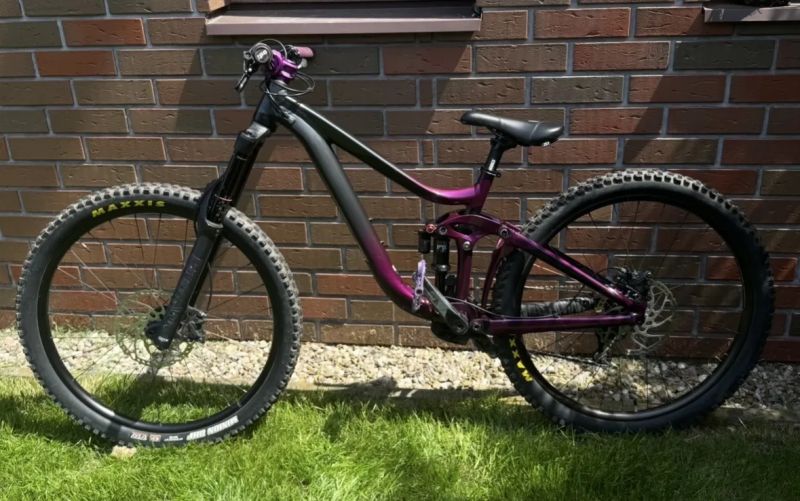 Giant Reign SX 2020