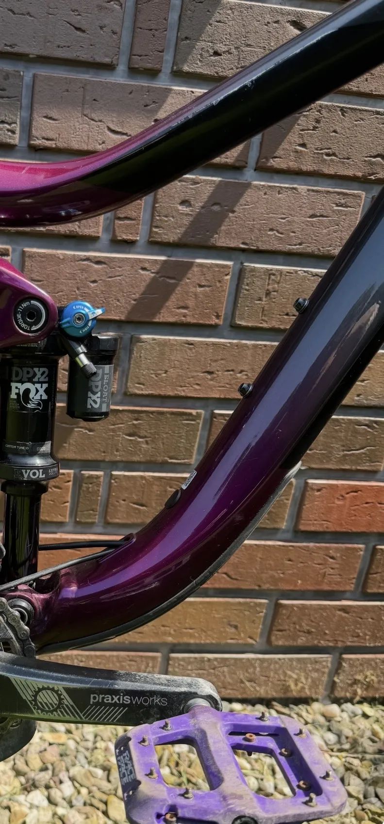 Giant Reign SX 2020