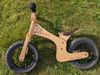 Early Rider Lite