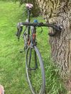 Specialized Roubaix SL4 Comp