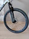 Prodám Mtb Pells razzer race 29"