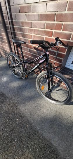 Kross Lea 1.0