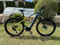 RDX RDX E-MTB Line GL