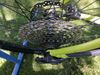 Scott Scale 980