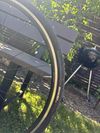 Focus Izalco Race