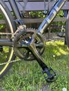 Focus Izalco Race