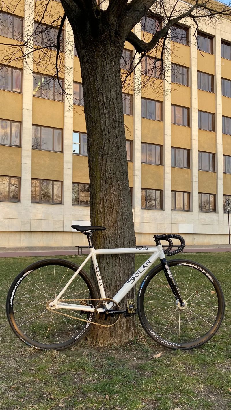 Prodam Dolan Pre Cursa (50)