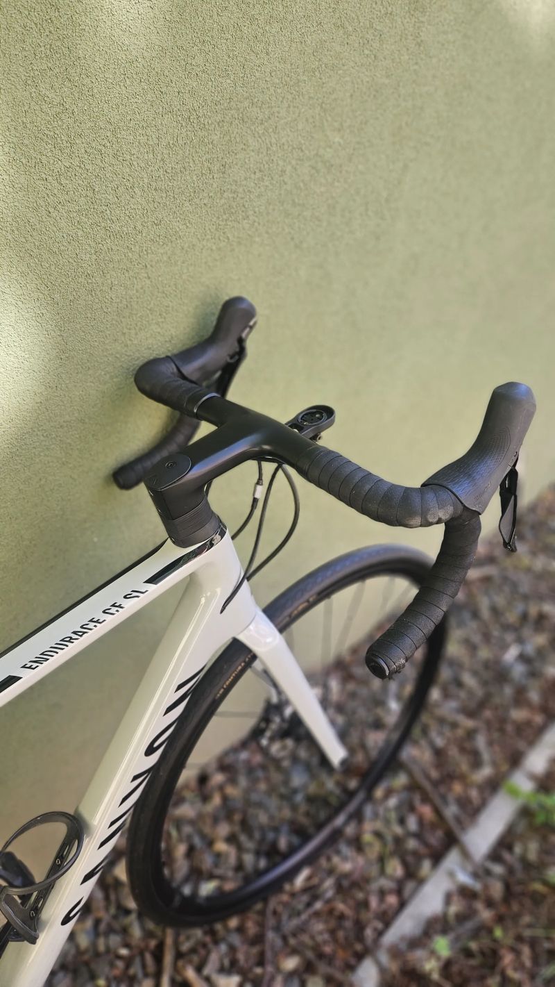 Canyon Endurace CF SL 8 (vel. M 178-184 cm)
