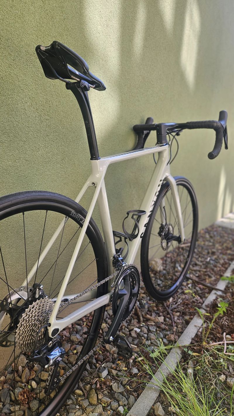 Canyon Endurace CF SL 8 (vel. M 178-184 cm)