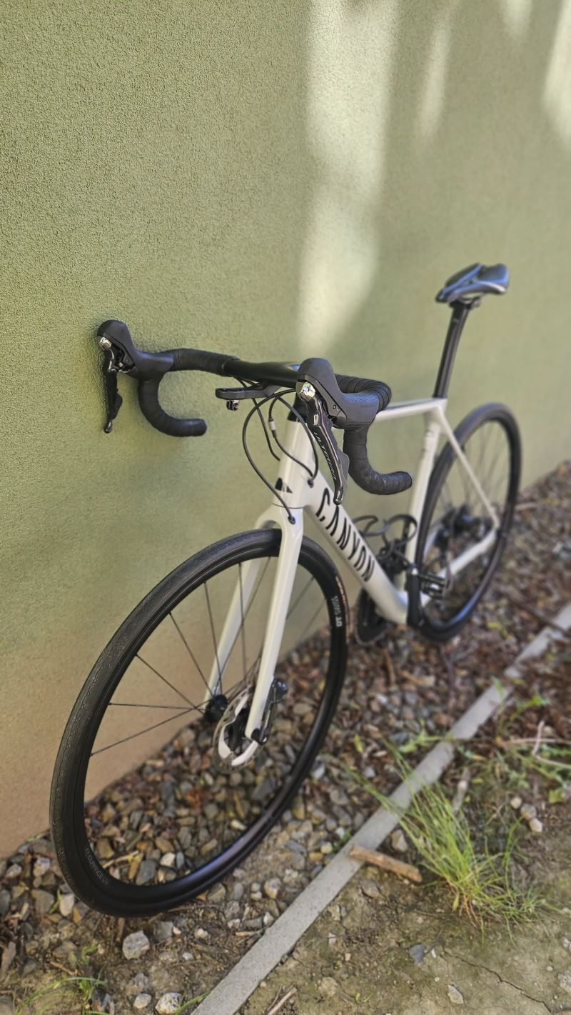 Canyon Endurace CF SL 8 (vel. M 178-184 cm)