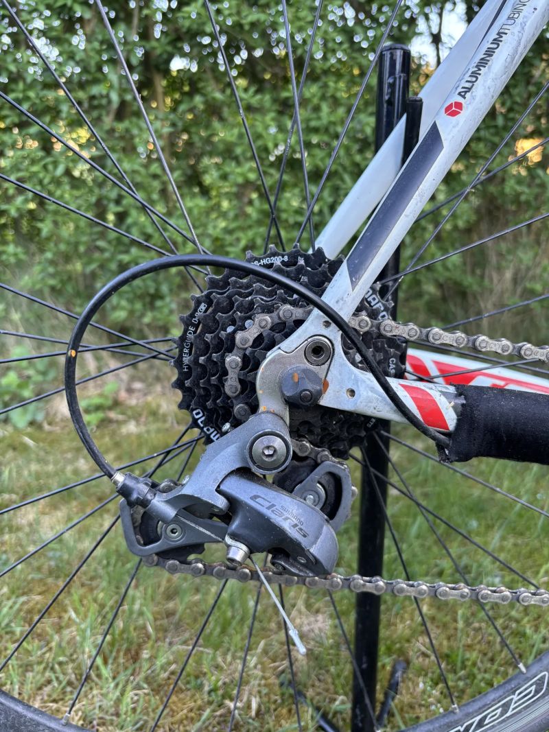 Spyder