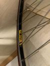 Cinelli