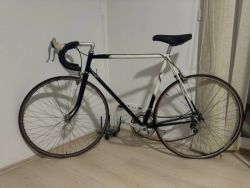 Cinelli