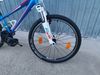 Superior Racer 24"