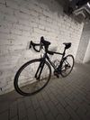 Specialized Allez cast blue/flake silver/carbon