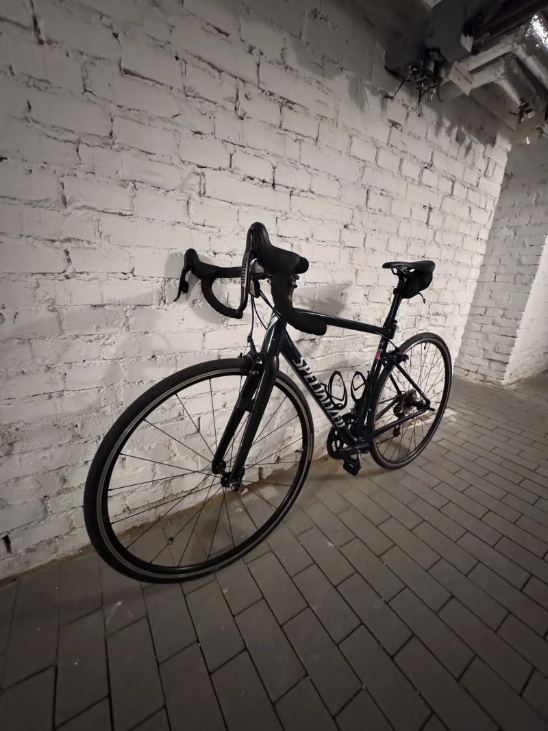 Specialized Allez cast blue/flake silver/carbon