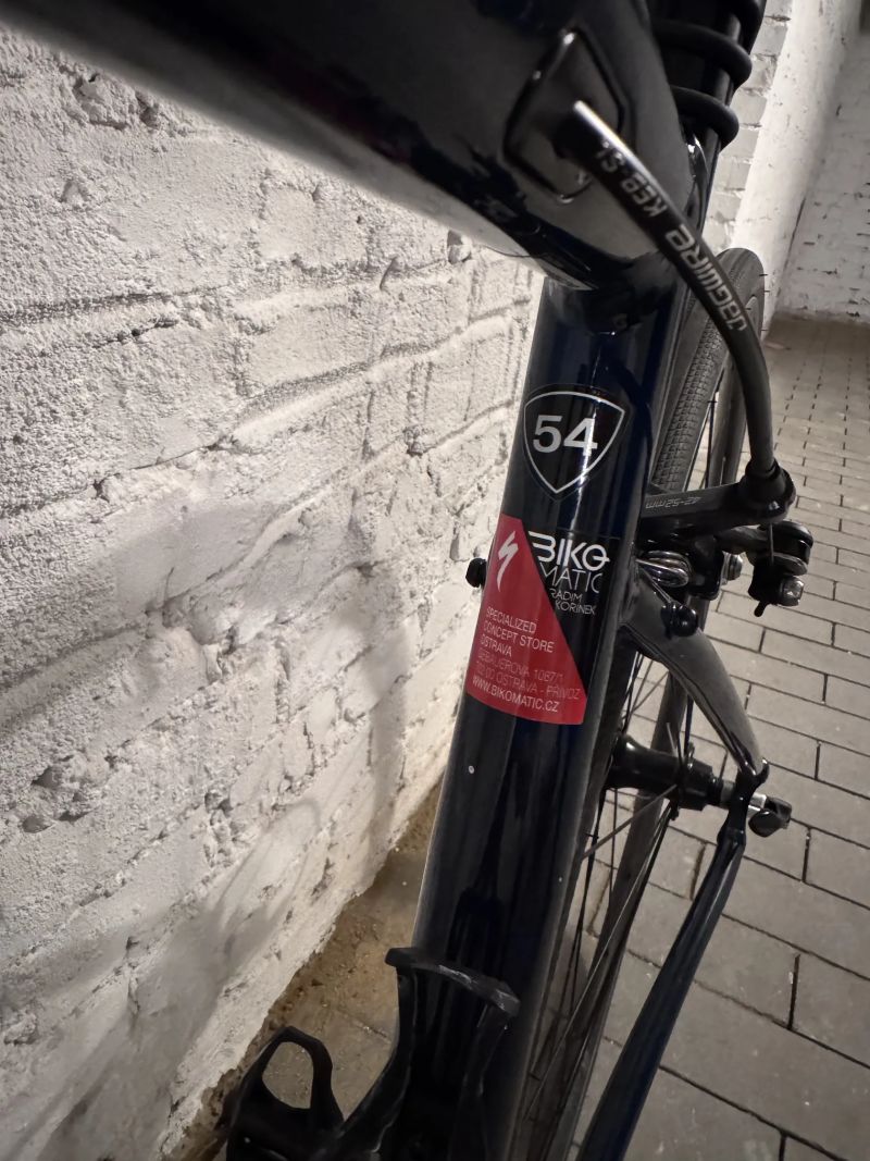 Specialized Allez cast blue/flake silver/carbon