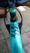 Haibike Allmtm1