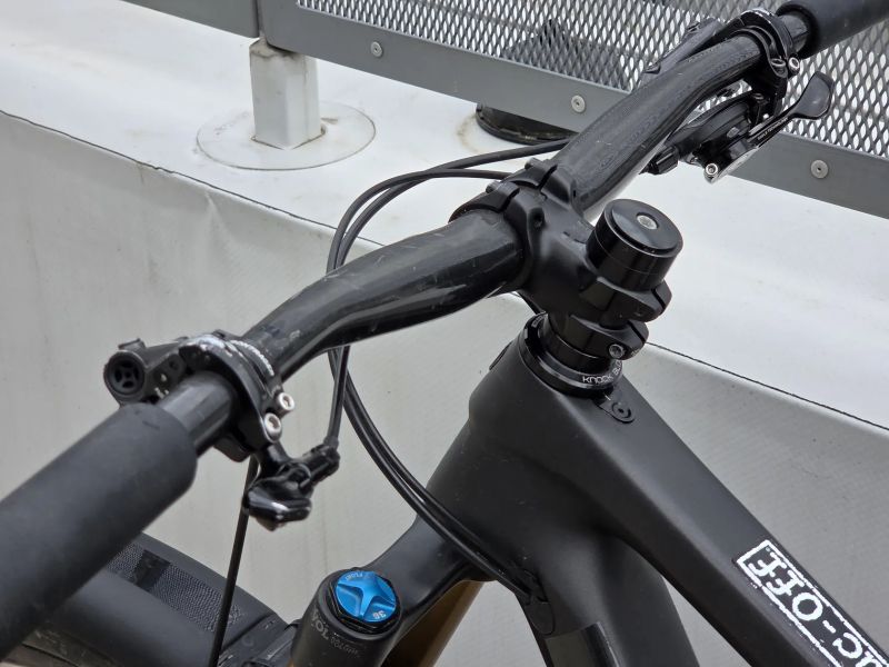 Trek Remedy 9.9