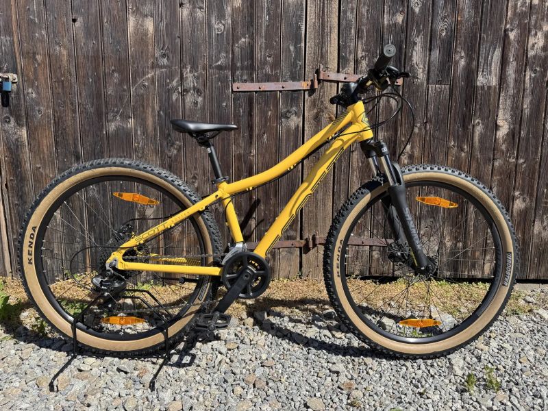 Scott Roxter Disc