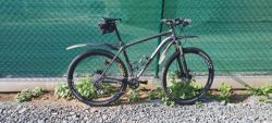Specialized Crave