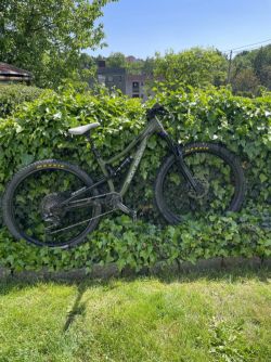 Rocky Mountain Reaper