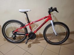 Maxbike 13"