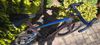 Dogma F 2025