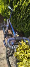 Dogma F 2025
