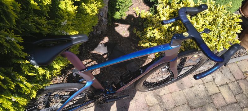 Dogma F 2025